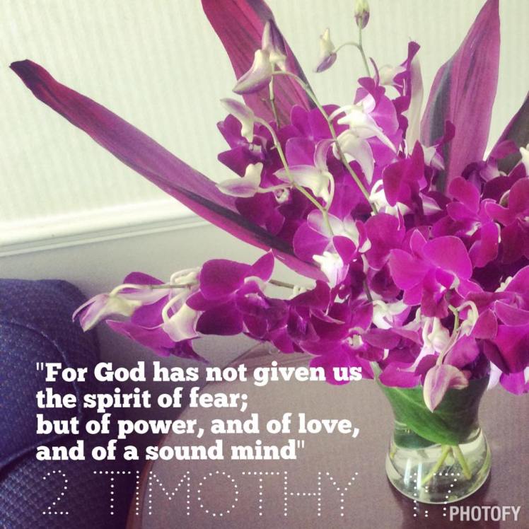 11040306_10152740882108857_1534266659_n